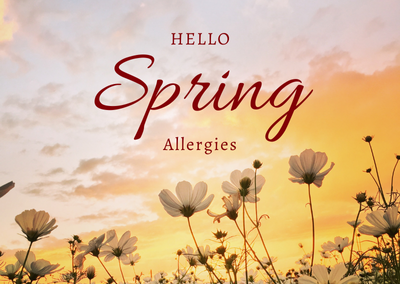 Spring allergy season graphic showing common triggers like pollen and outdoor allergens