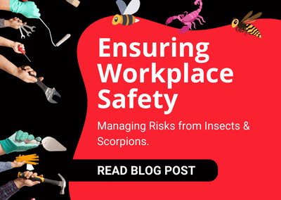 Featured image for workplace safety guide on managing insect and scorpion risks