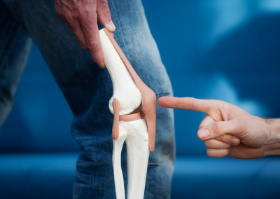 A close-up of a person pointing to an anatomical model of a human knee joint.